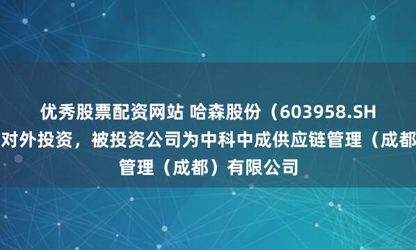 优秀股票配资网站 哈森股份（603958.SH）新增一起对外投资，被投资公司为中科中成供应链管理（成都）有限公司