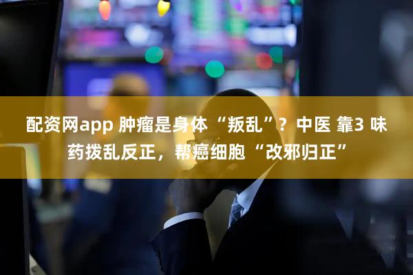 配资网app 肿瘤是身体 “叛乱”？中医 靠3 味药拨乱反正，帮癌细胞 “改邪归正”