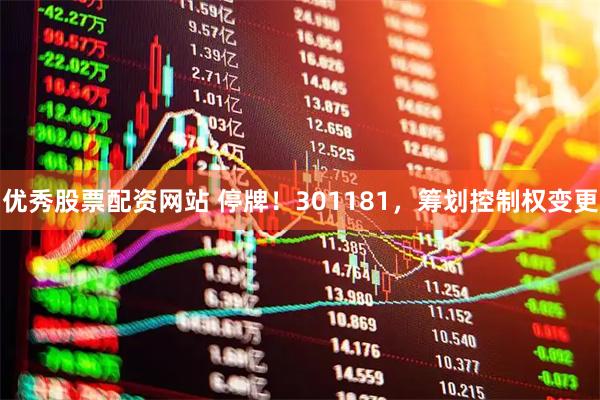 优秀股票配资网站 停牌！301181，筹划控制权变更