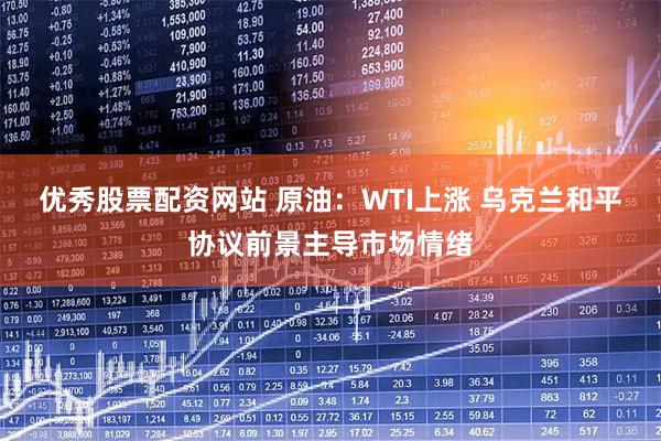 优秀股票配资网站 原油：WTI上涨 乌克兰和平协议前景主导市场情绪