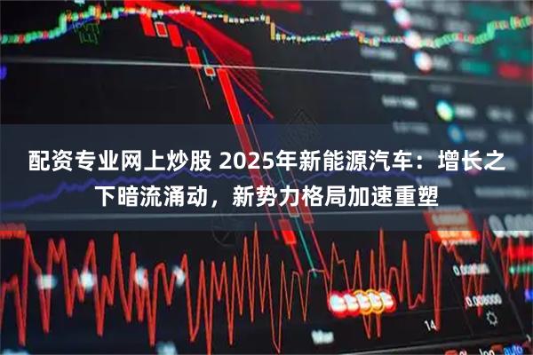 配资专业网上炒股 2025年新能源汽车：增长之下暗流涌动，新势力格局加速重塑