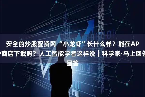 安全的炒股配资网 “小龙虾”长什么样？能在APP商店下载吗？人工智能学者这样说｜科学家·马上回答
