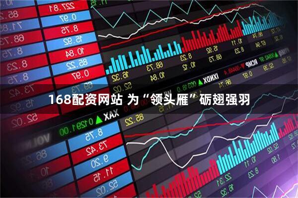 168配资网站 为“领头雁”砺翅强羽