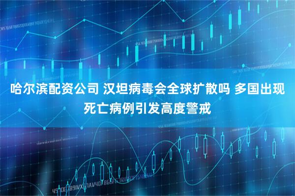 哈尔滨配资公司 汉坦病毒会全球扩散吗 多国出现死亡病例引发高度警戒
